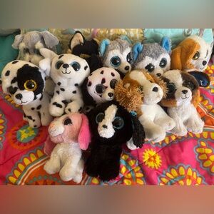 Beanie Boo lot of dog plush